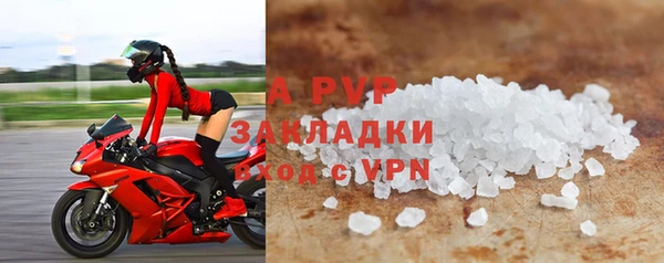 стафф Алексин