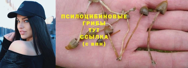 прущий лед Алексеевка