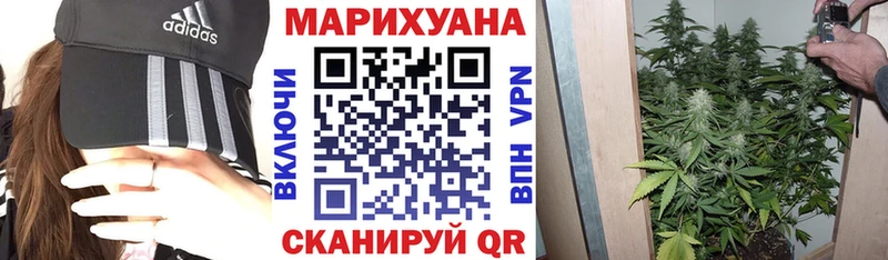 kraken ТОР  Тосно  Шишки марихуана Amnesia 